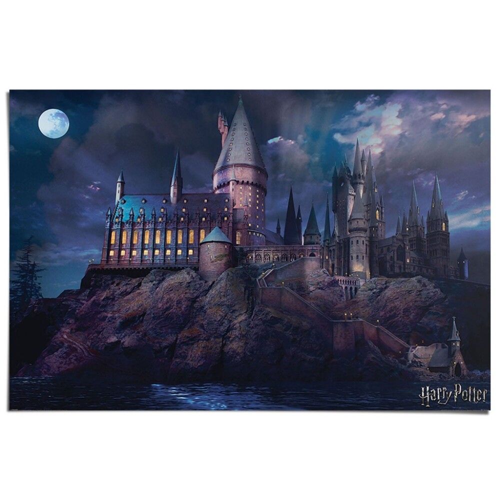 PLAKAT REINDERS HARRY POTTER SLOTTET 61x91,5CM 078