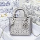 Dior The LADY D-LITE Bag