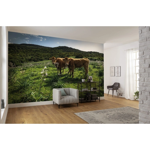Vliestapete »Kuhparadies«, Breite 450 cm, seidenmatt