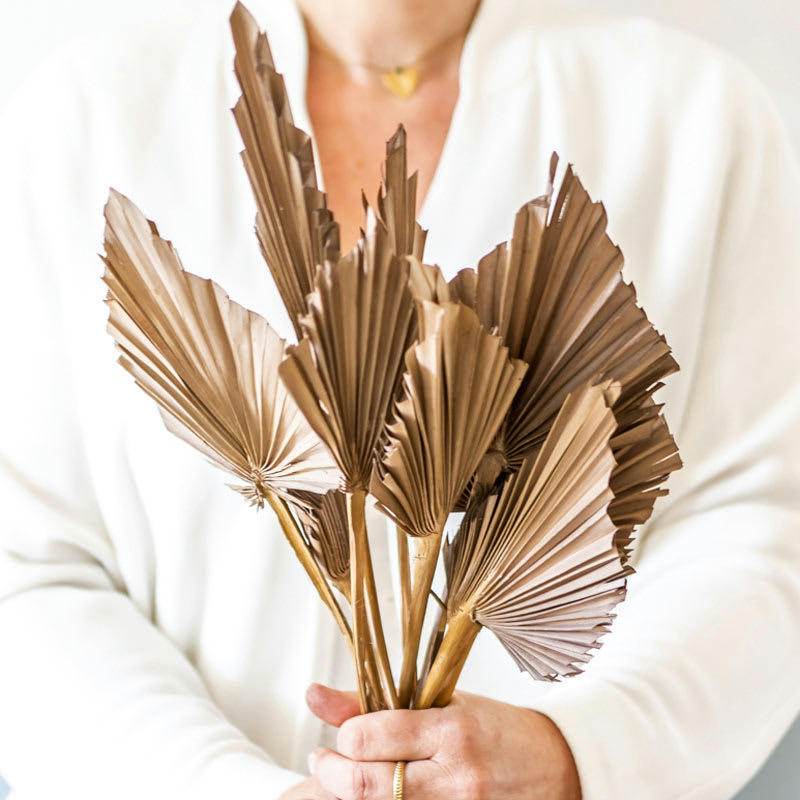 - Bouquet de fleurs séchées palm spear chocolat x 10 feuilles