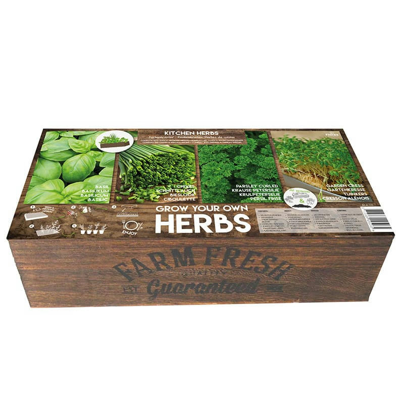 - Carré de Potager Herbes de cuisine