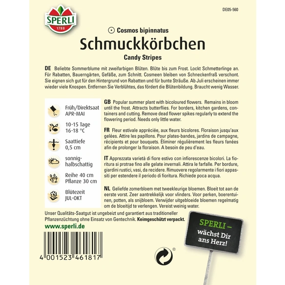 Schmuckkörbchen »Candy Stripes«, einjährig, außergewöhnliche Blüten, Höhe 80-100 cm