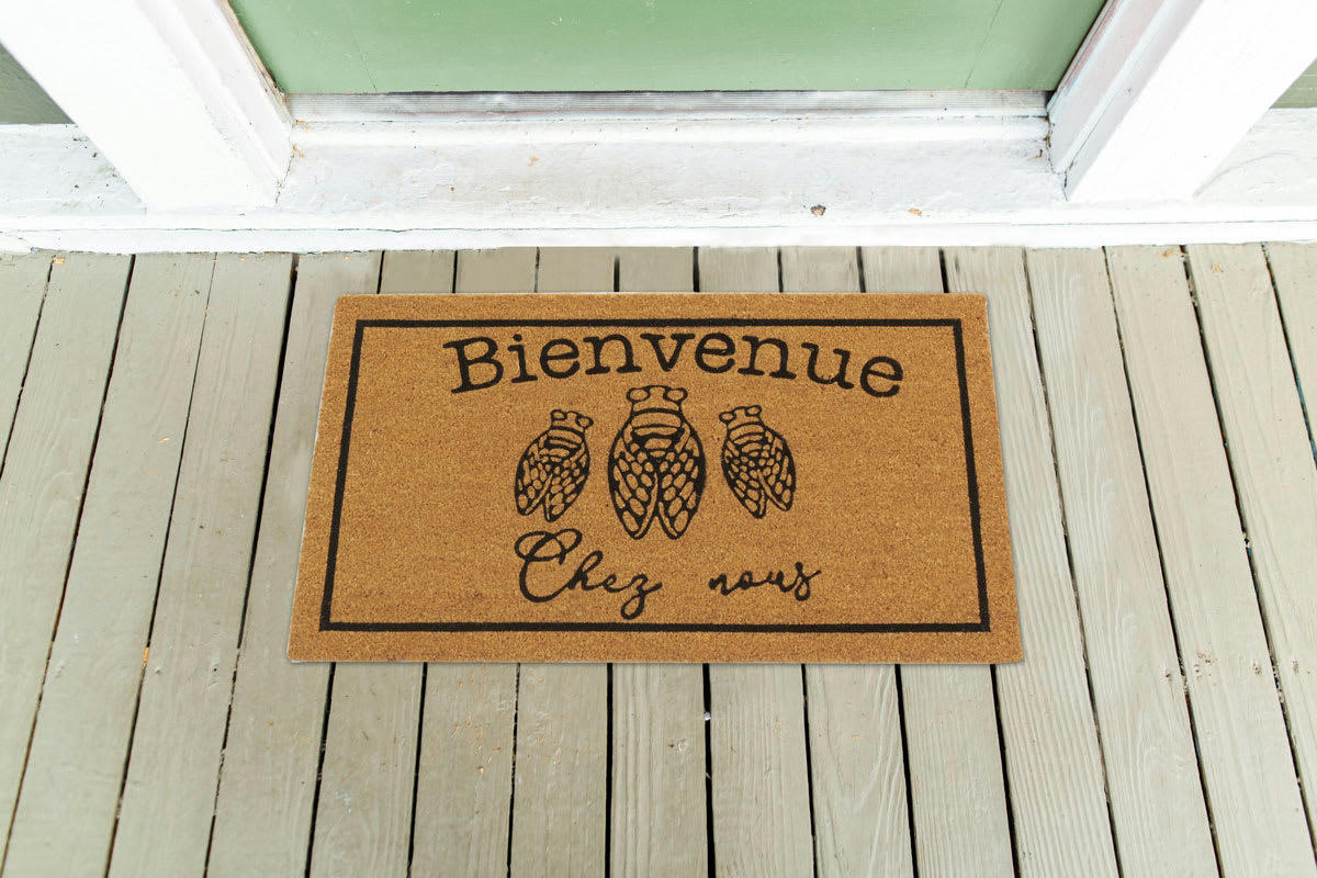 - Paillasson coco intérieur extérieur 75 x 45 cm cigales bienvenue chez