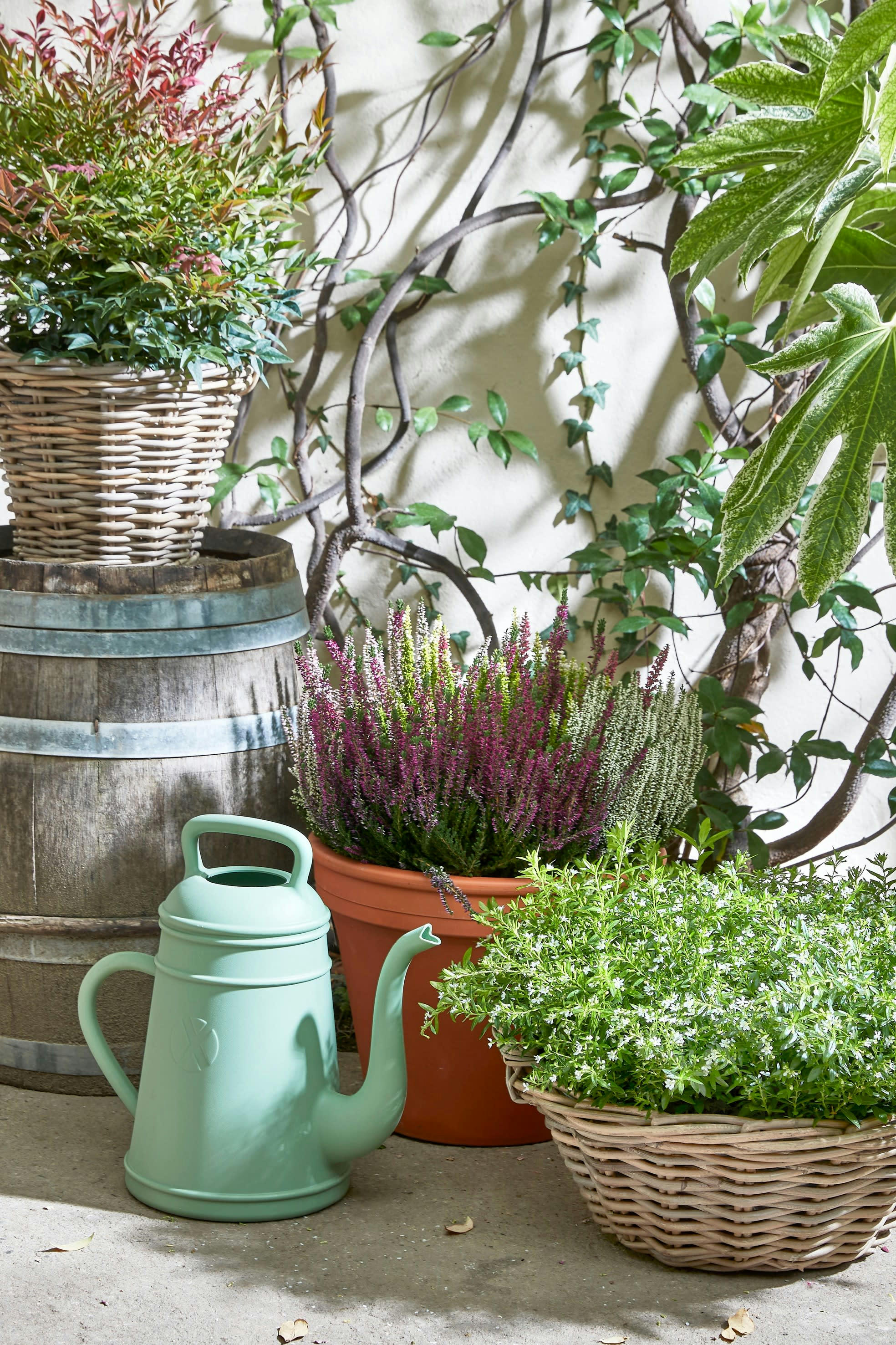 MARCIA - Panier à plantes rotin gris H18