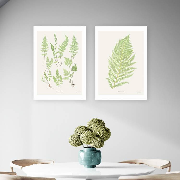 East End Prints Botan Vintage Art Print - A3