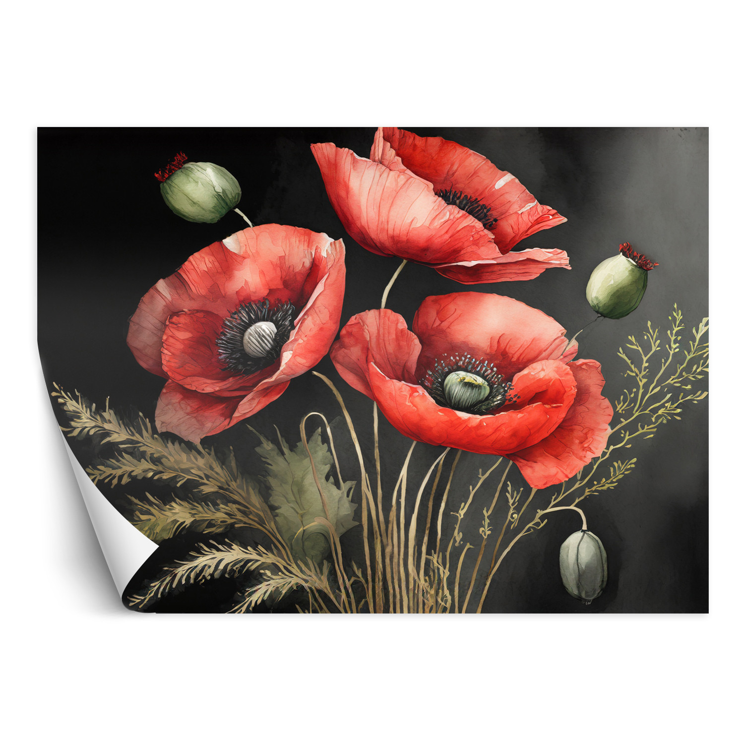 Feeby Fototapeta Malowane czerwone maki
