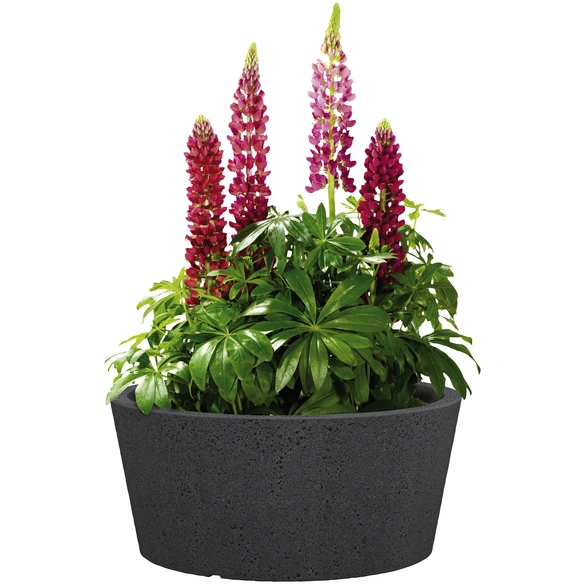 Pflanzgefäß »C-CONE BOWL«, ØxH: 38,9 x 17,5 cm, schwarz