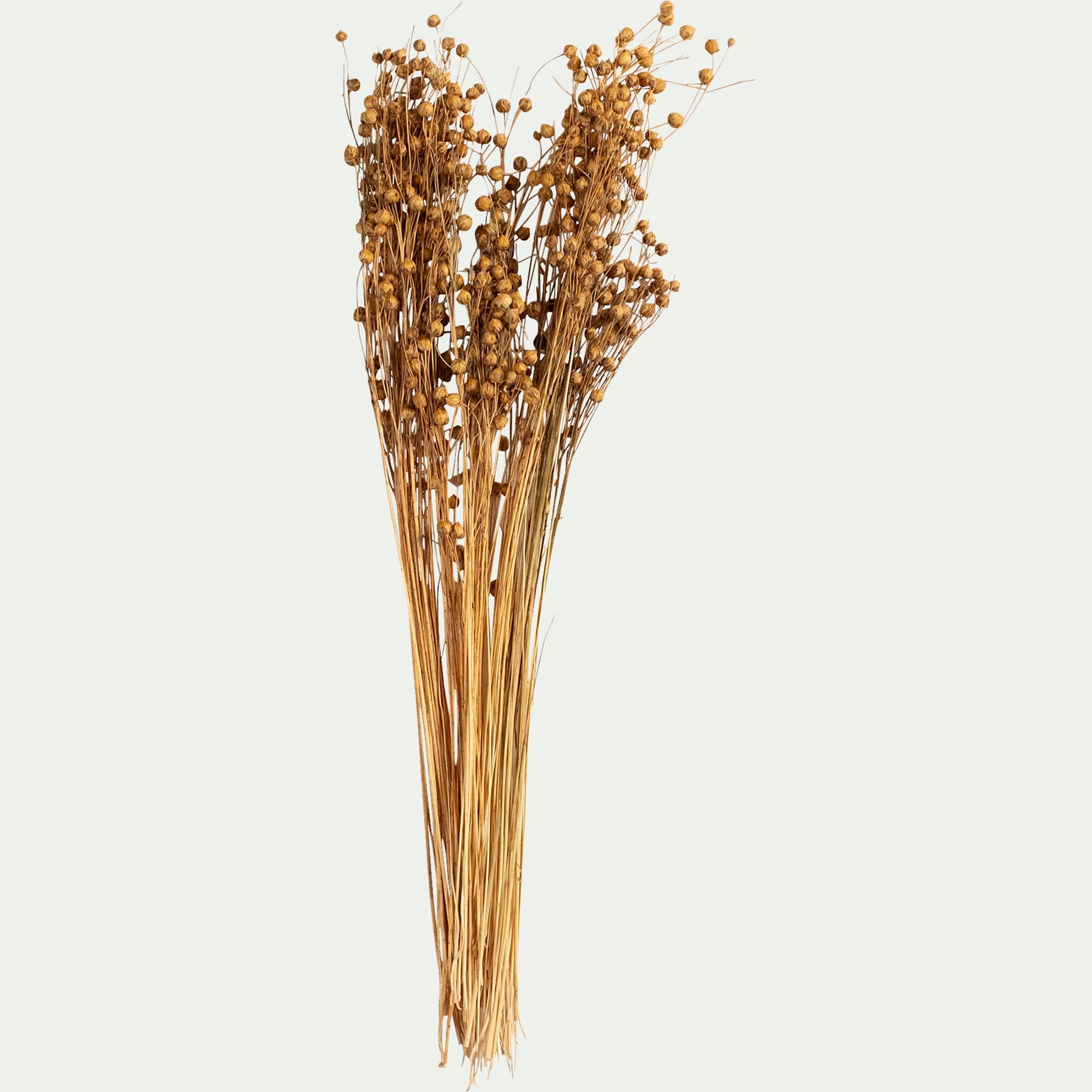 FLORALIE - Botte de lin séché H55cm - naturel