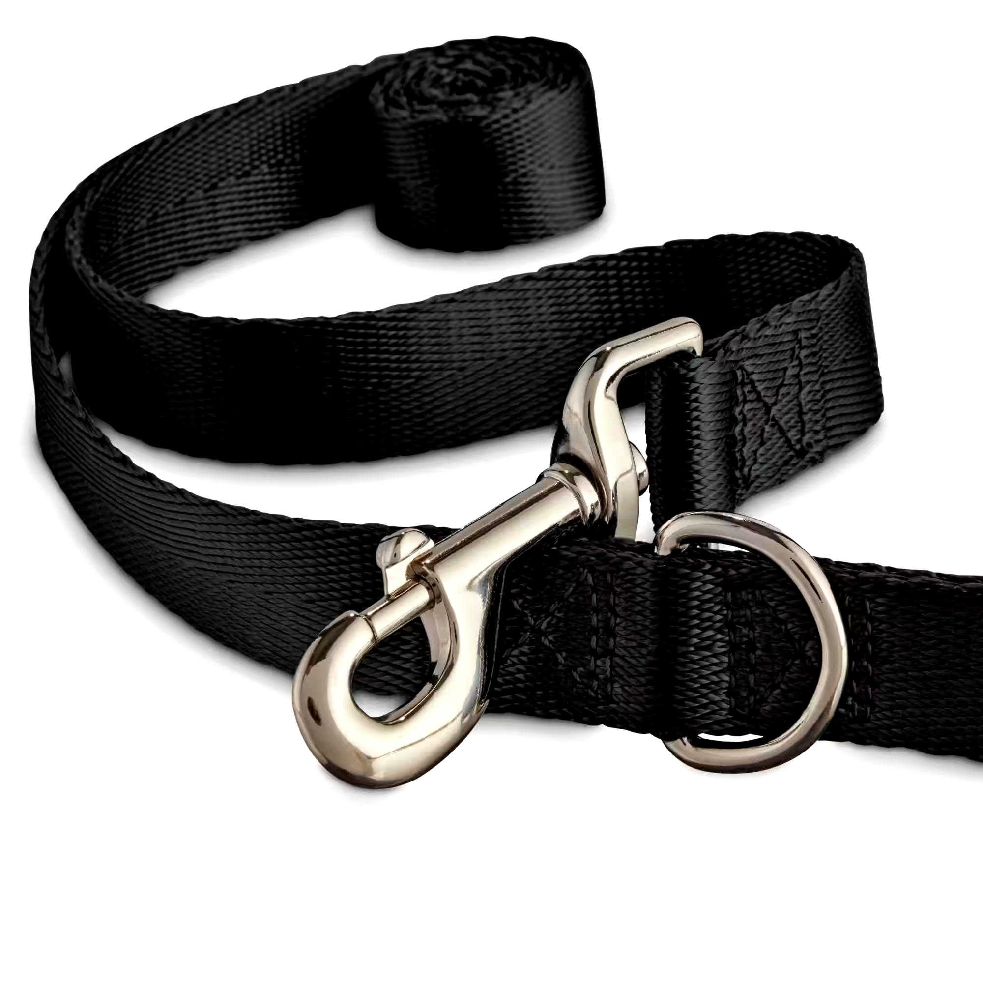 Petco Black Nylon Dog Leash, 4-ft