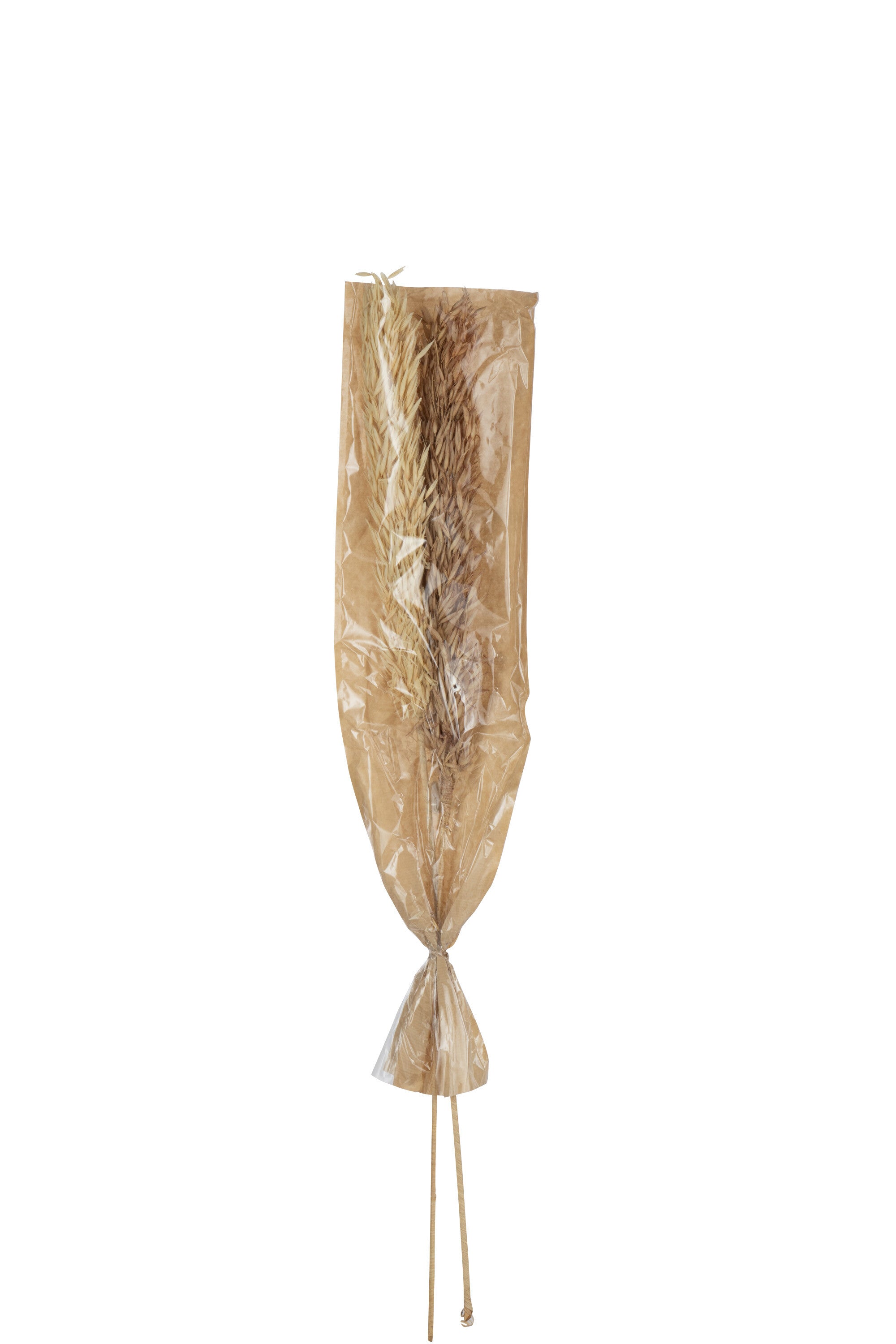 J-Line droogbloemen Oogst - rotin pluim - naturel - 2 stuks