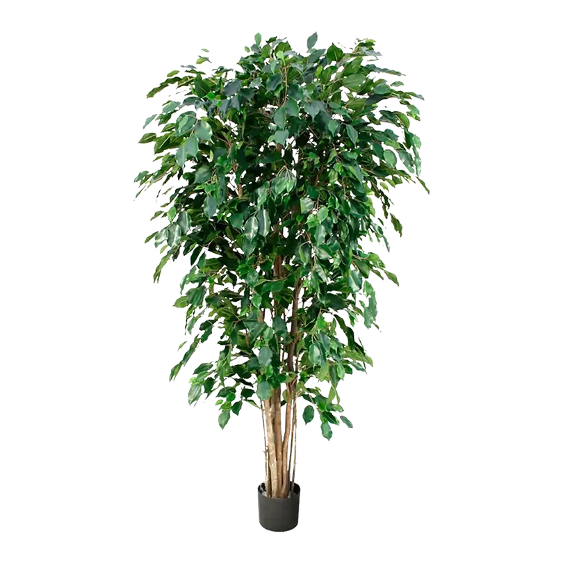 Kunstpflanze Ficus