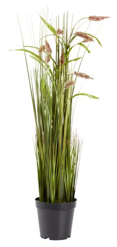 Artificial plant GODSKE D18xH75cm