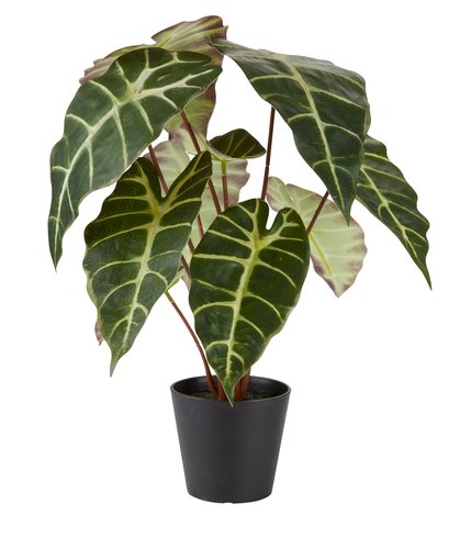 Artificial plant MARIUS D38xH42cm