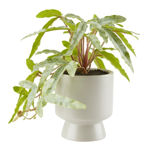 Artificial plant OLSEN D9xH20cm w/pot