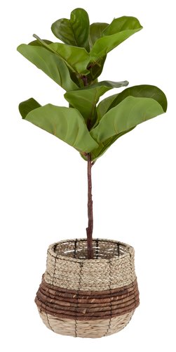 Artificial plant KELD D40xH85cm