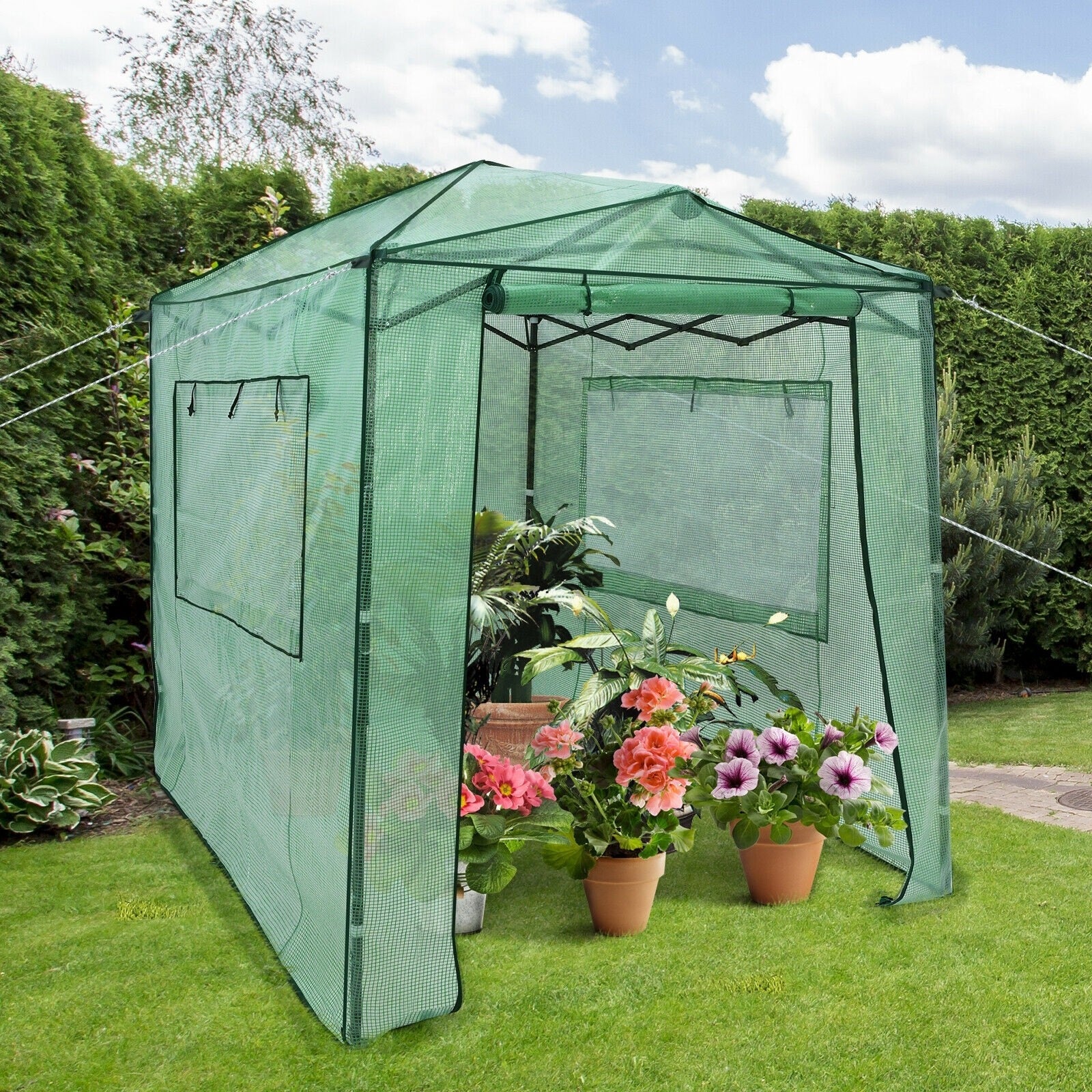 8¡¯ x 6¡¯ Outdoor Portable Walk-in Greenhouse with Roll-up Doors and Windows