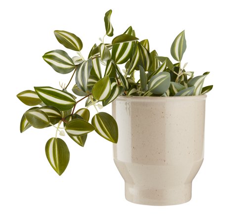 Plant pot ADAM D15xH17cm beige
