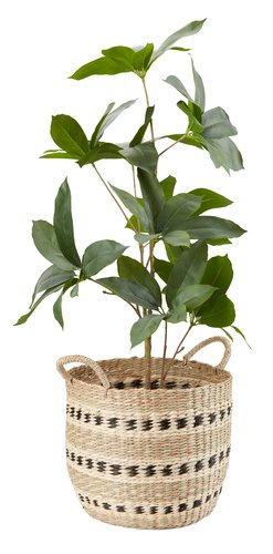 Basket VIGIL D32xH27cm seagrass