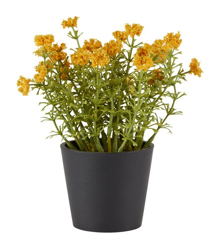 Artificial plant KALLE D13xH16cm yellow
