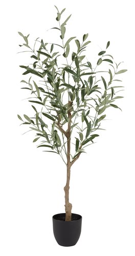 Artificial plant HAVHEST H125cm olive