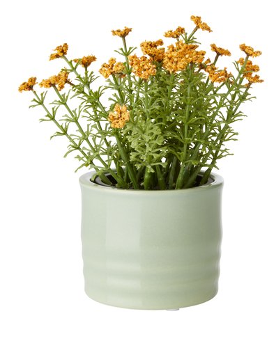 Plant pot TIM D9xH7cm assorted