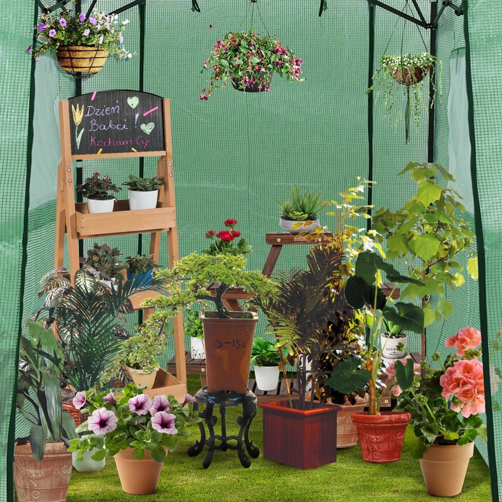 8¡¯ x 6¡¯ Outdoor Portable Walk-in Greenhouse with Roll-up Doors and Windows