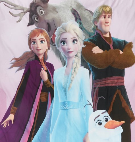 Duvet cover set FROZEN Single purple