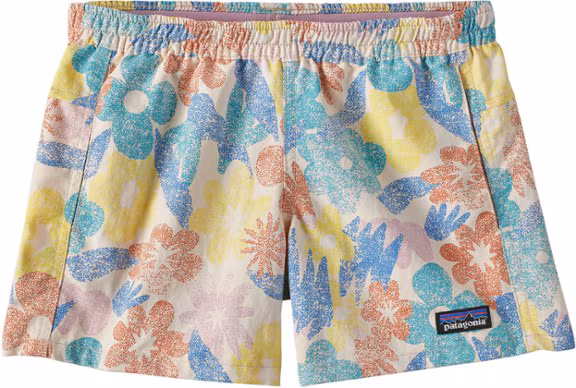 Patagonia Baggies 4