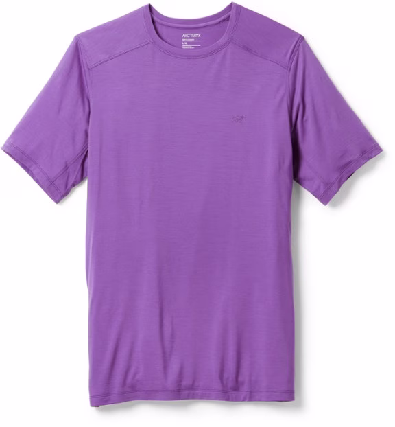 Arc'teryx Ionia Merino Wool Base Layer Top - Men's