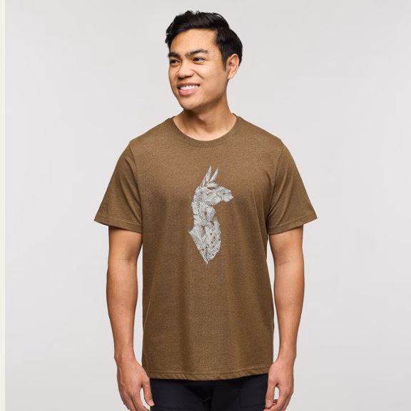 Cotopaxi Into the Pines T-Shirt - Men's
