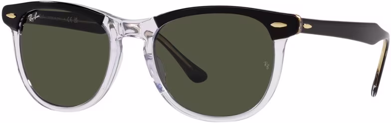 Ray-Ban Eagle Eye Sunglasses