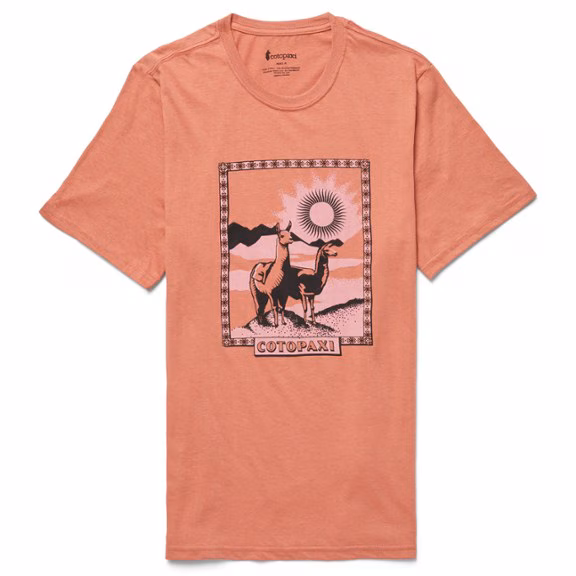 Cotopaxi Llama Greetings Organic T-Shirt - Men's