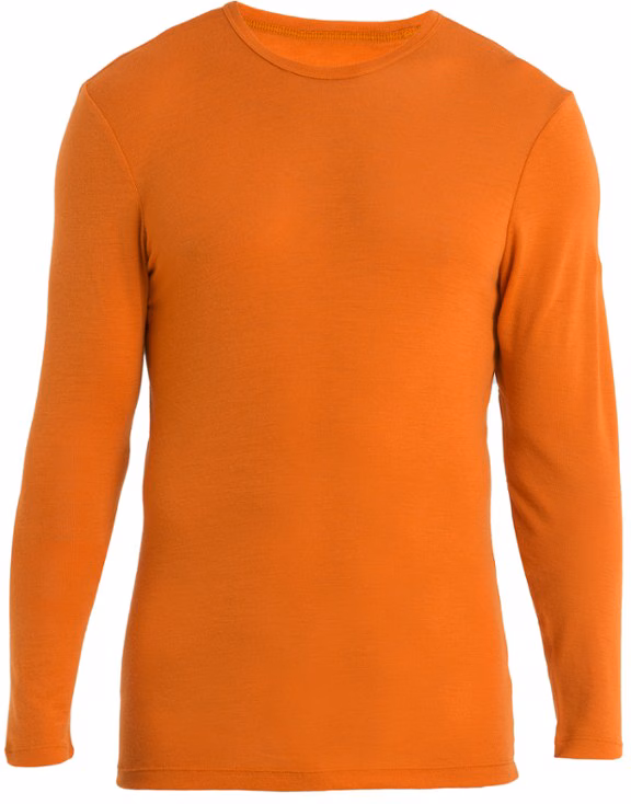 Icebreaker Merino 175 Everyday Long-Sleeve Crewe Thermal Top - Men's