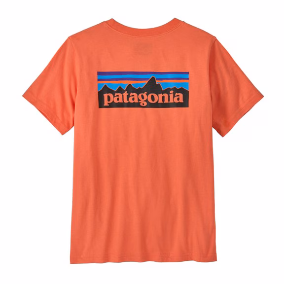 Patagonia Cotton P-6 Logo T-Shirt - Boys'