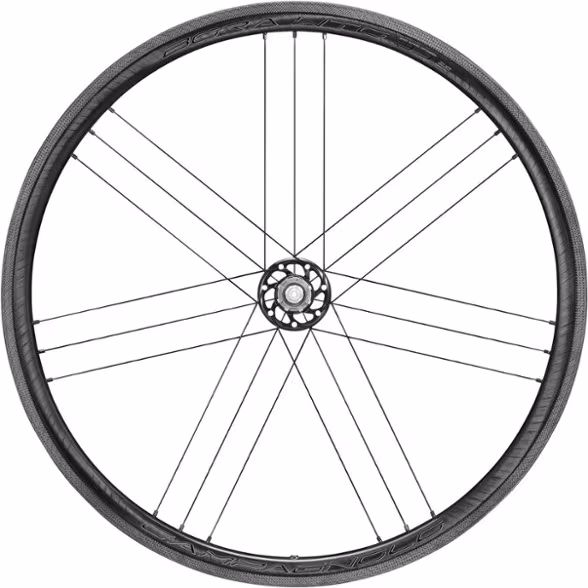 Campagnolo Bora WTO 33 Rear Wheel - Rim Brake