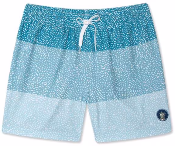 Chubbies Stretch 5.5