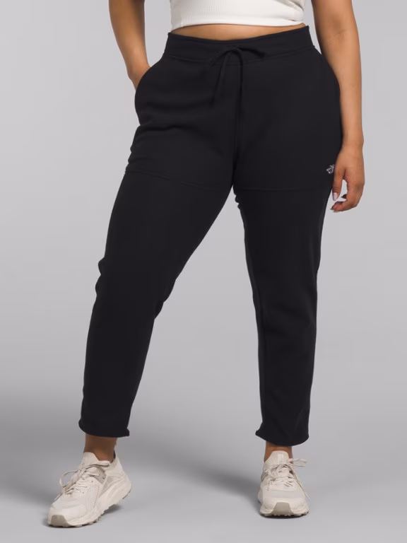The North Face Alpine Polartec 100 Pants - Women's