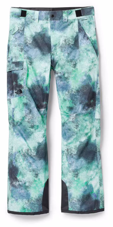 The North Face Freedom Snow Pants - Men's