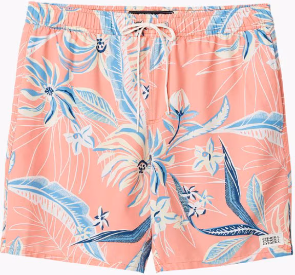 O'Neill Hermosa E-Waist Lined 17