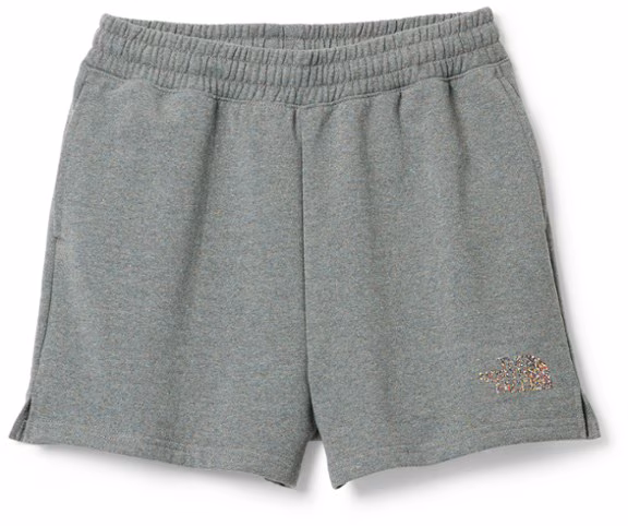 The North Face Re-Grind Shorts - Women's