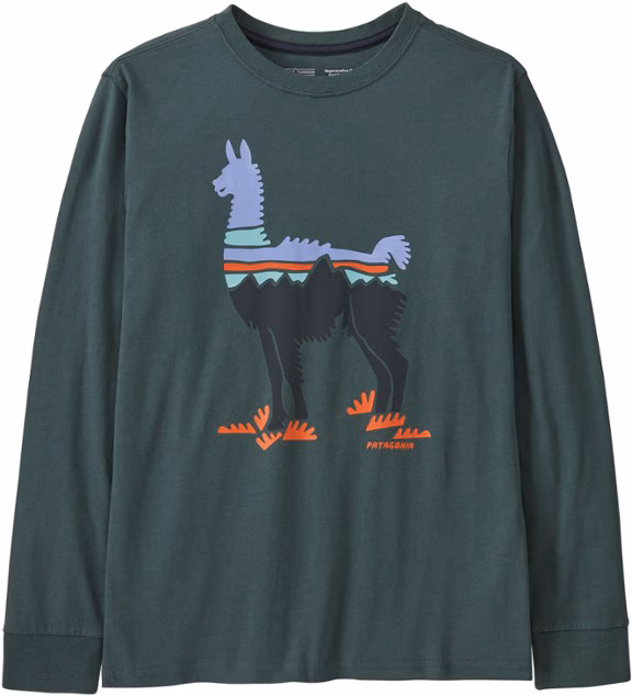Patagonia Long-Sleeve Regenerative Organic Certified Cotton Graphic T-Shirt - Kids'