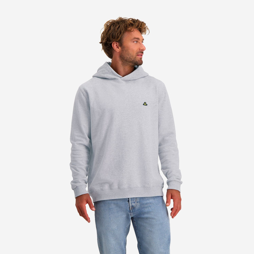 Rolleston Hoodie Men Regular | Grey Melee