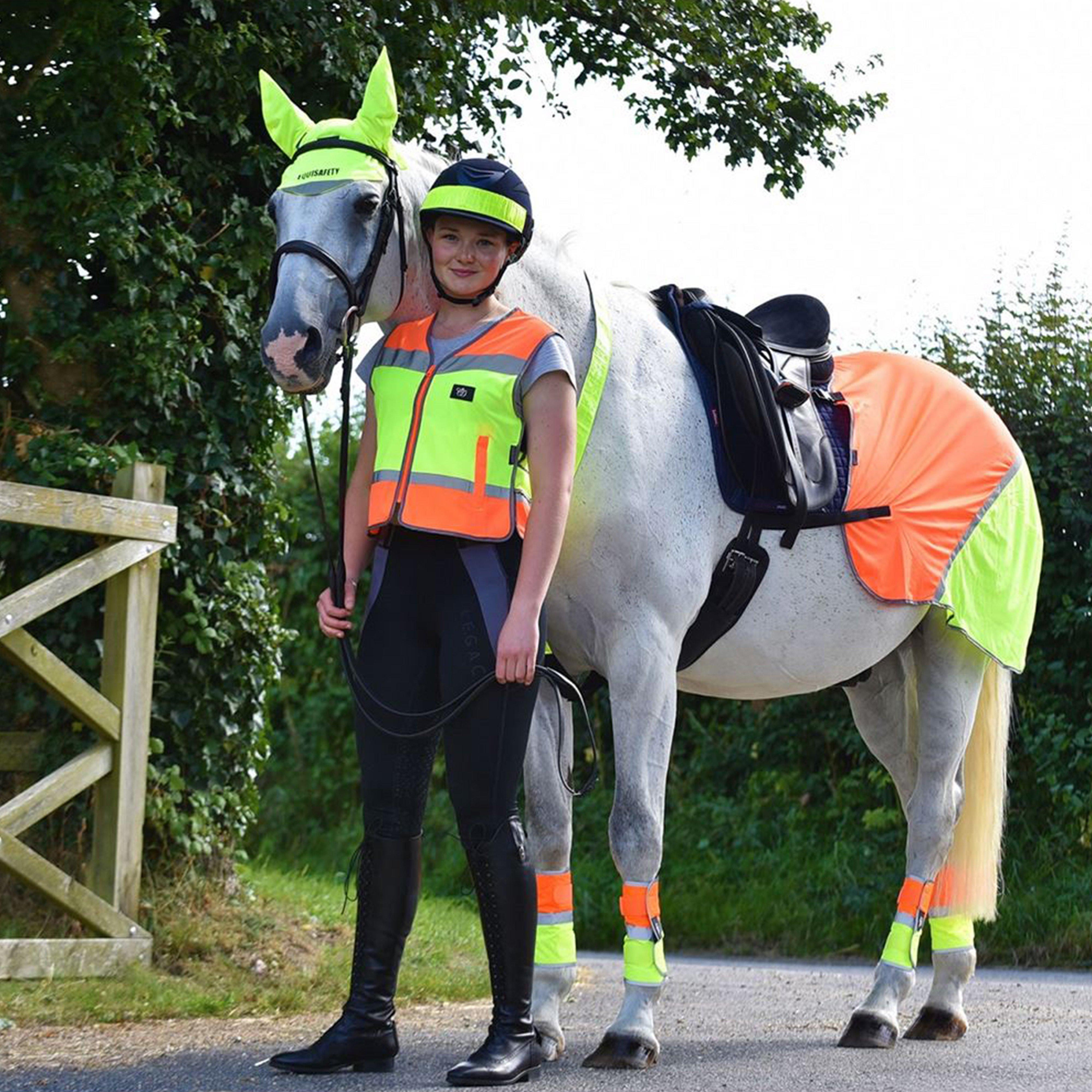 Charlotte Dujardin Multi-Coloured Nose Band Orange/Yellow