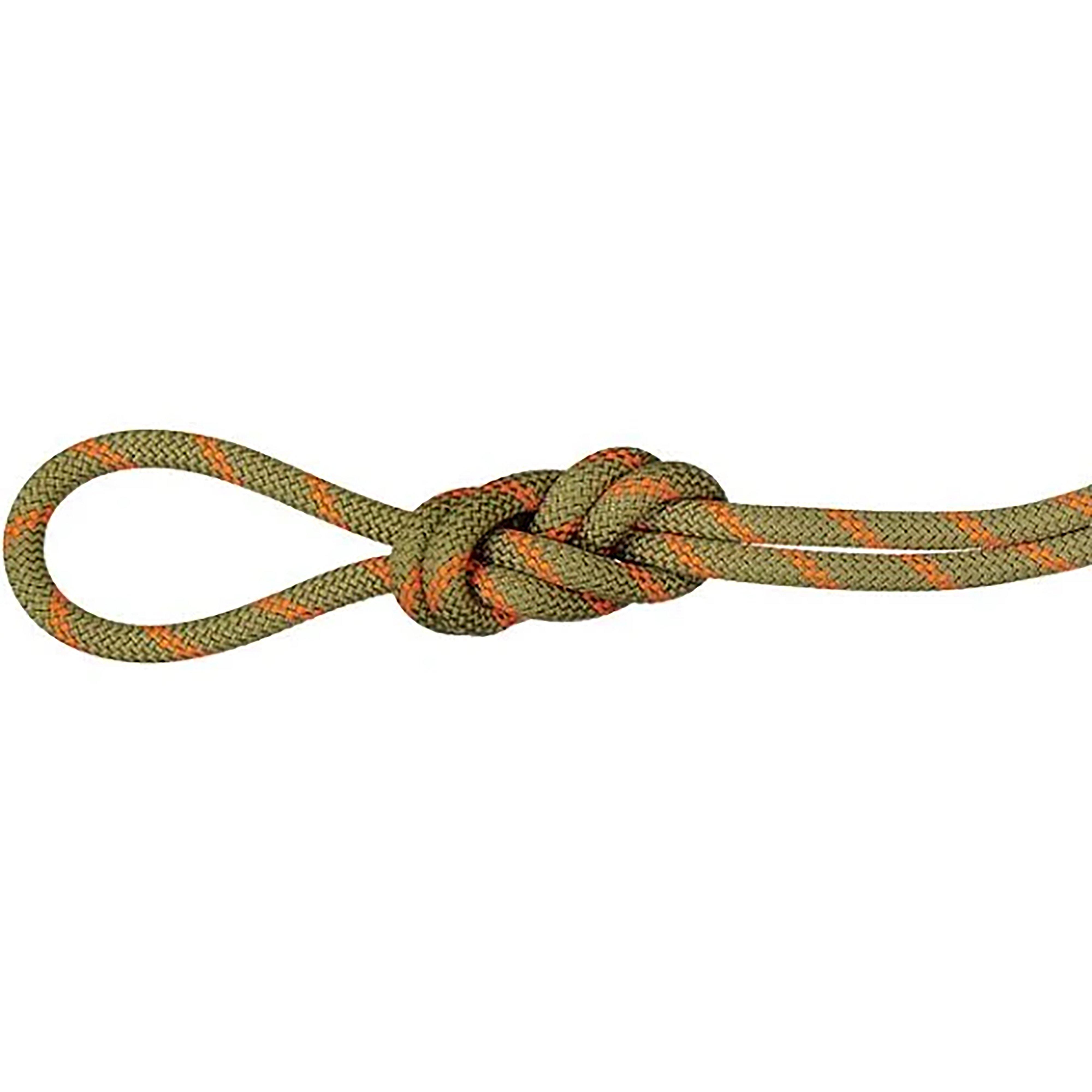 Alpine Dry 8.0 Rope 50m