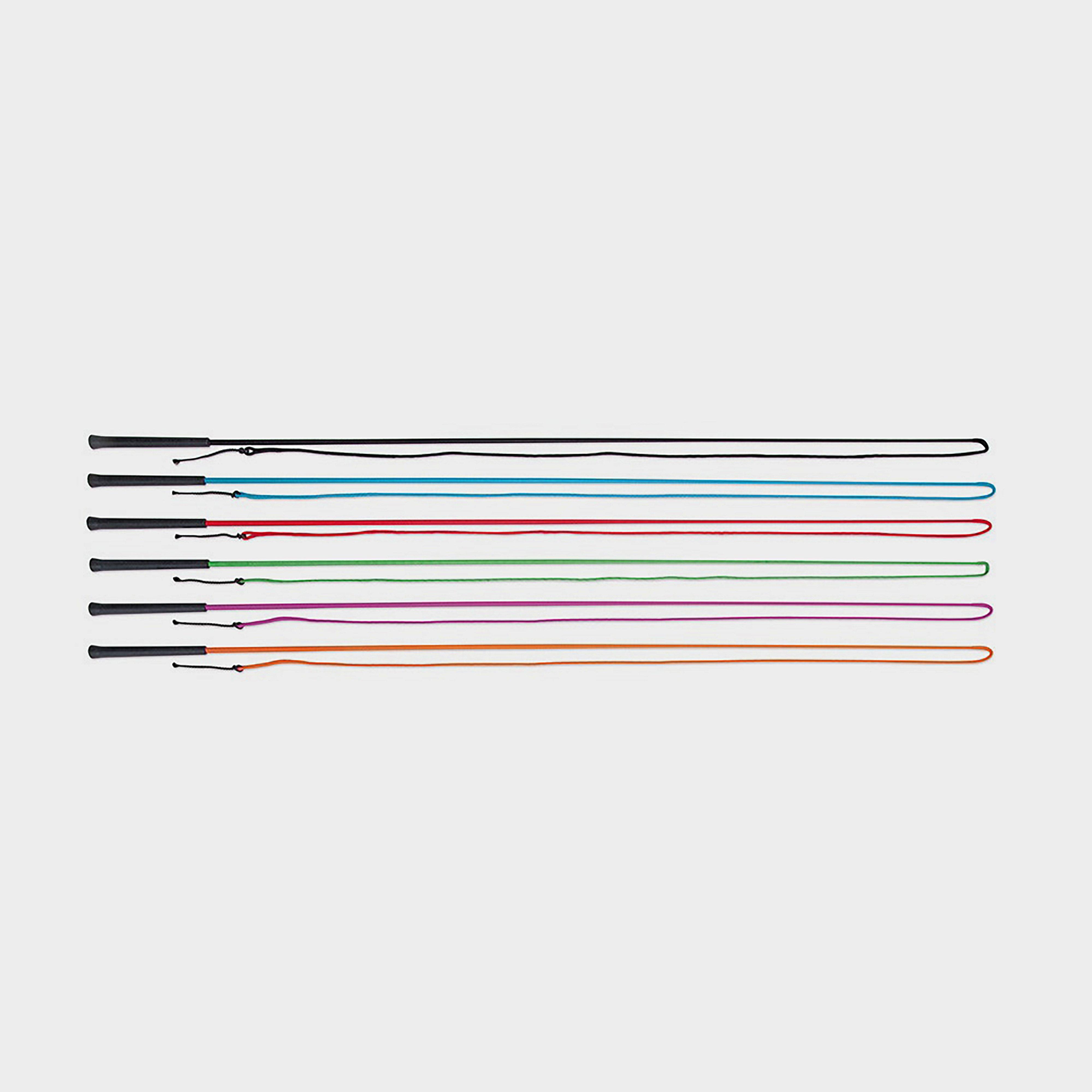 Lunging Whip Pink