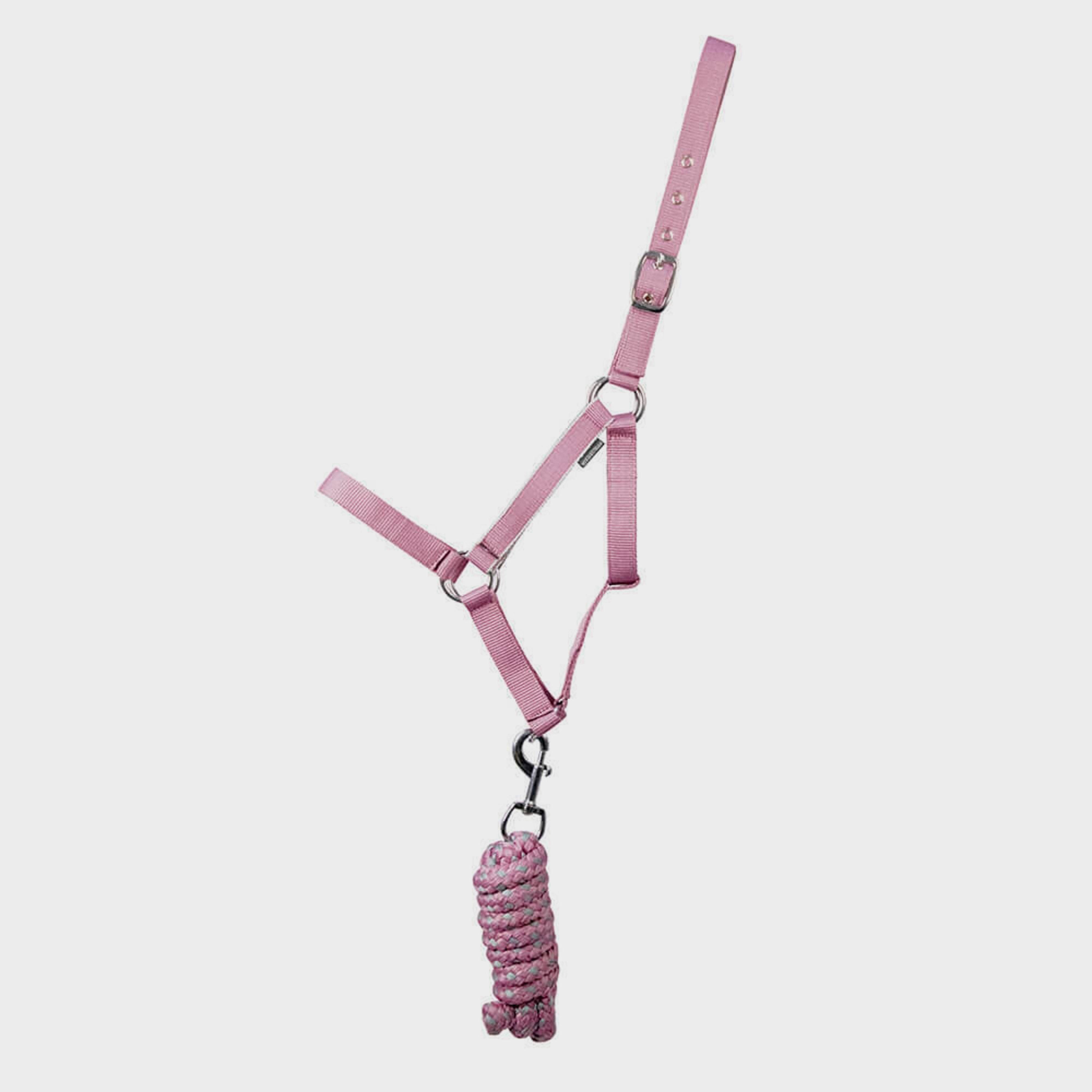 Synergy Horse Headcollar