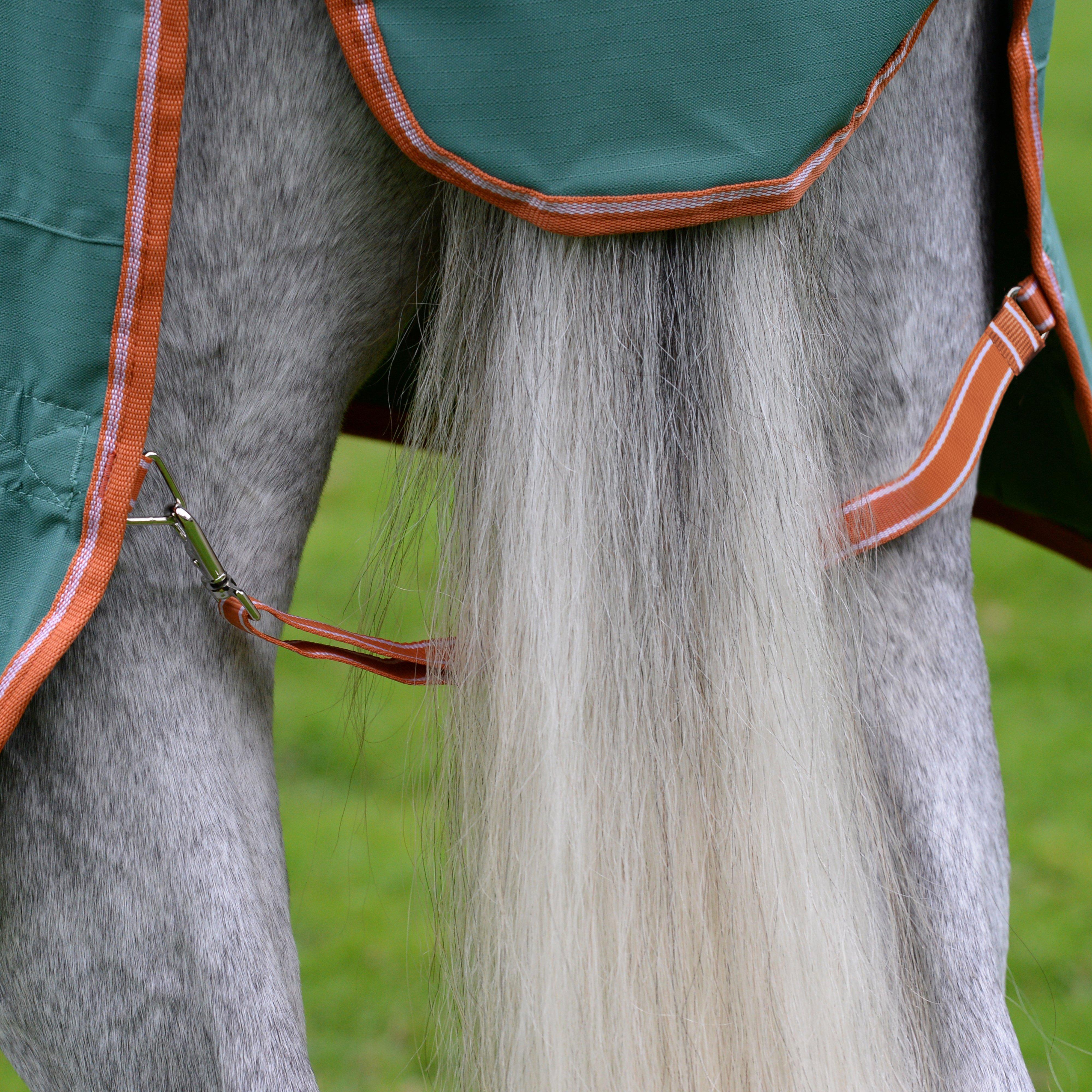 ComFiTec Tyro Standard Neck Lite Plus Rug