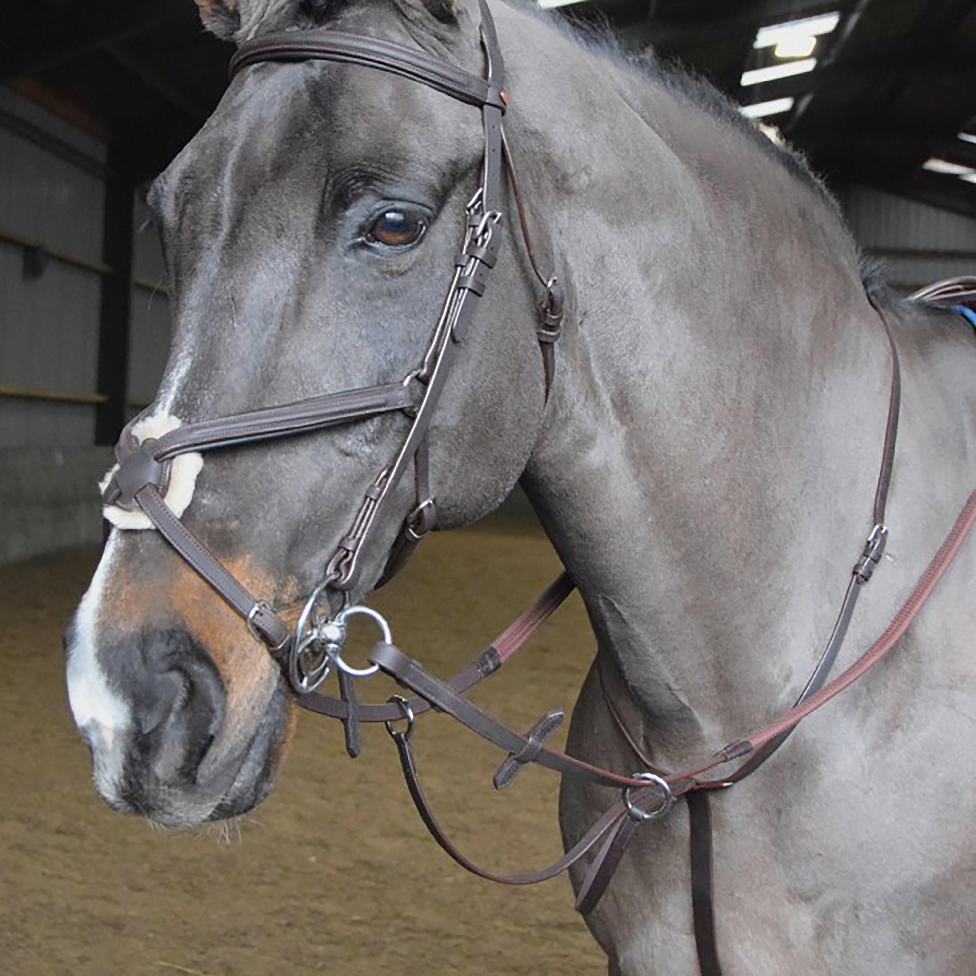 Ready-To-Ride Martingale