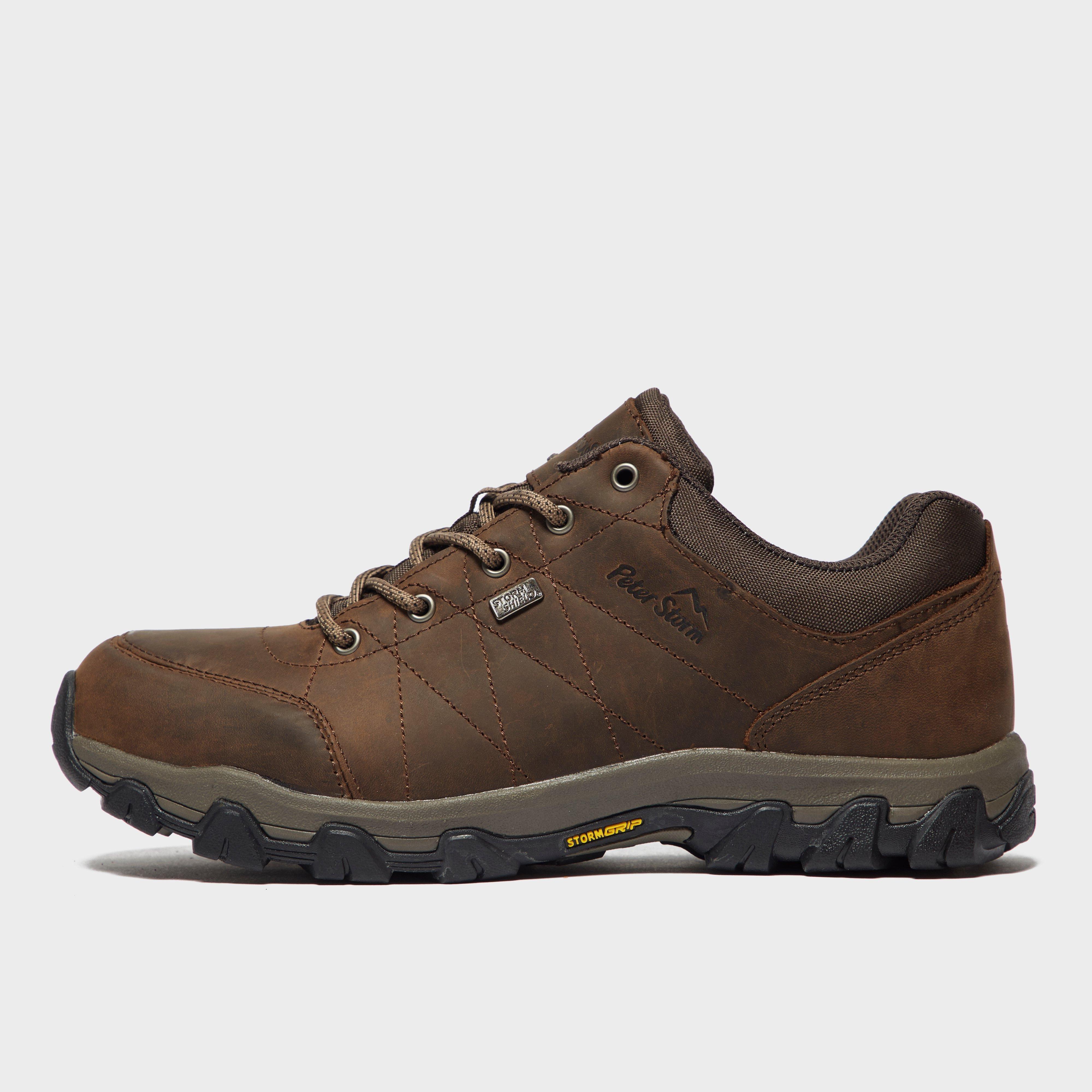 Ranger II Activ GTX Walking Boots
