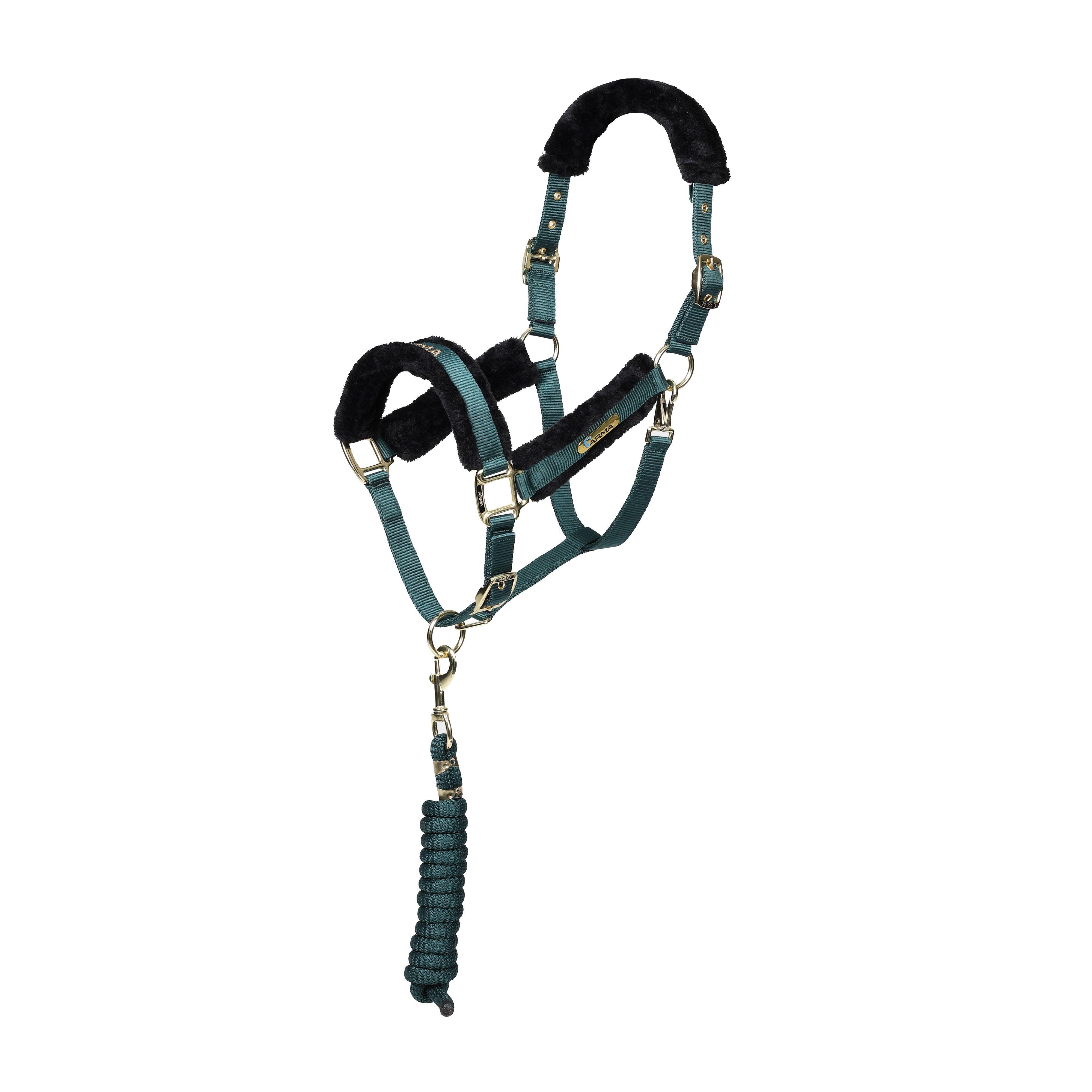 Logo Headcollar & Leadrope